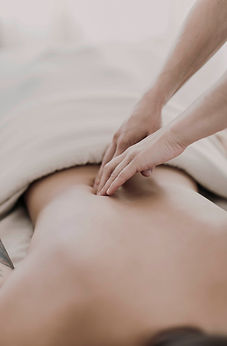 Mobile Area Massage Pinellas County
