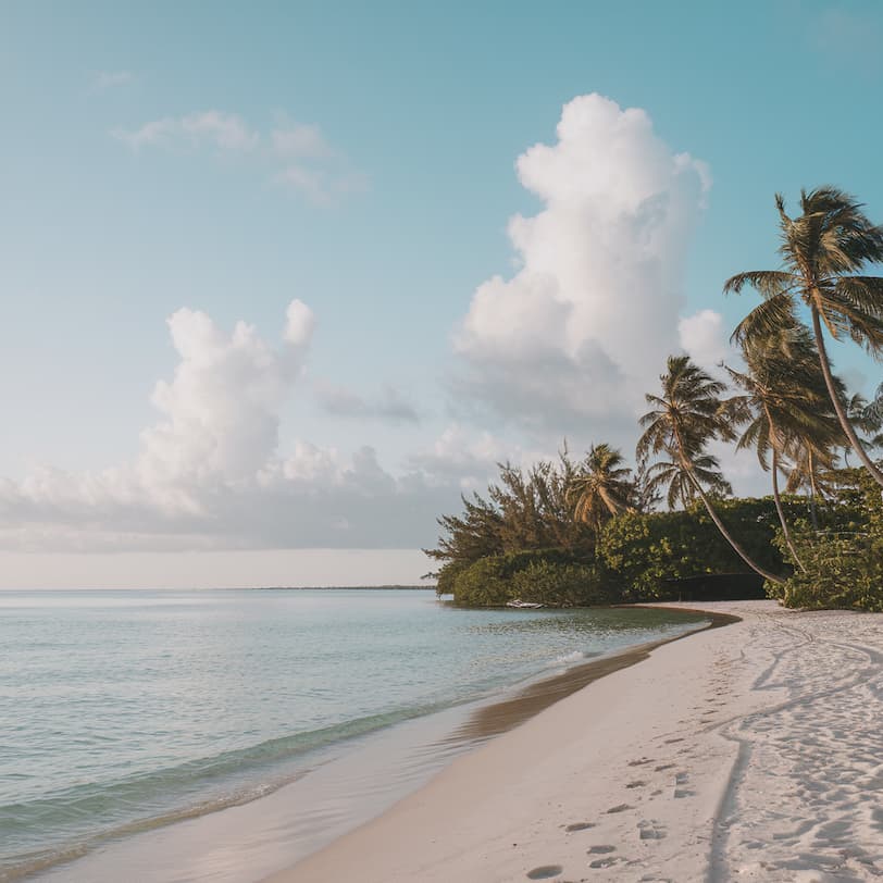 Relaxation Massage Therapy in Clearwater